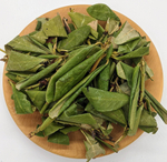 Кашкара (Рододендрон золотистый)