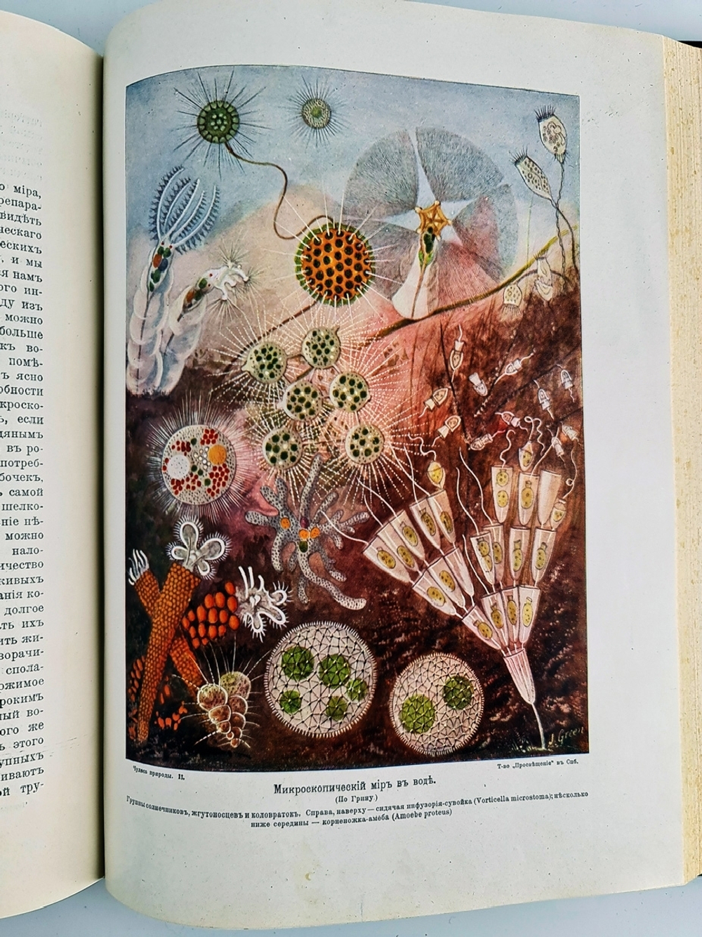 "Чудеса природы. Популярные очерки, посвященный описанию любопытнейших явлений и достопримечательностей трех царств природы. В 2-х томах". В.М.Шимкевич. 1915г. - антикварная книга