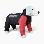 Дождевик «Dezzie Star»