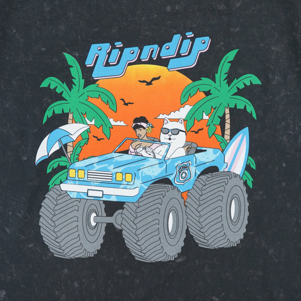 Футболка мужская Ripndip Nerm Cruiser артикул:RND9359 - купить в магазине Дайс