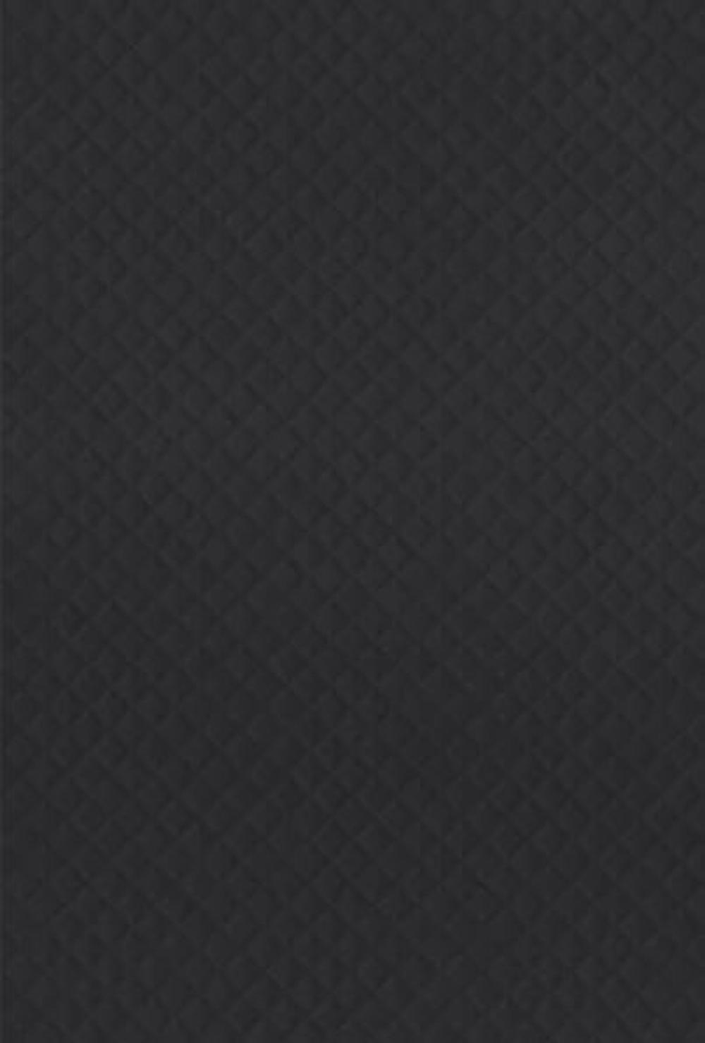 Постельное белье 1.5 спальное Curt Bauer Arezzo 9008 ebenholz антрацит