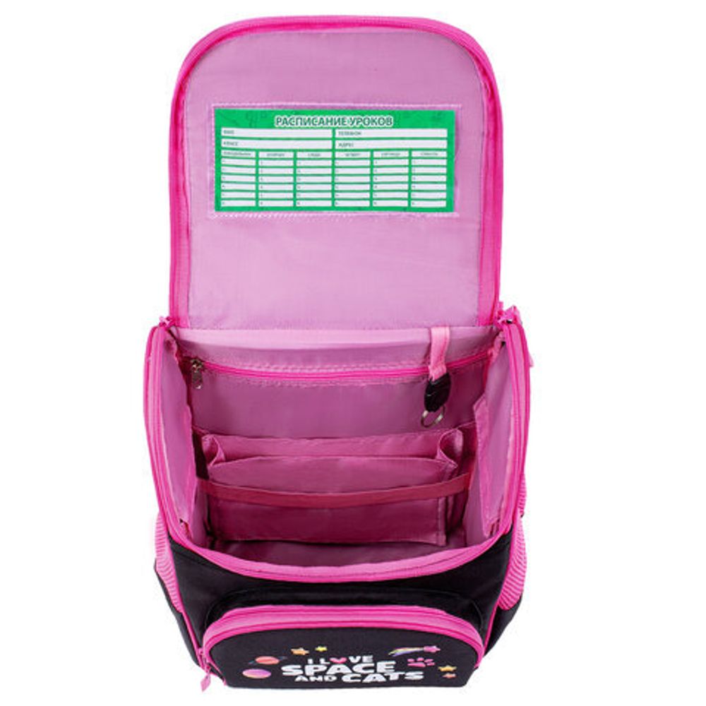 Ранец ПИФАГОР BASIC, 1 отделение, 3 кармана, эргономичная спинка, "Dark kitten", 35х28х18 см, 273134