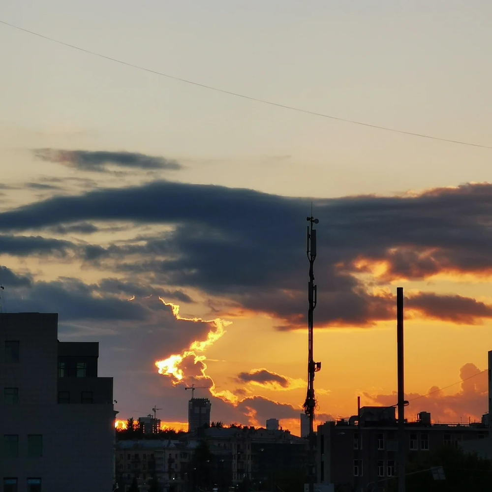 Грифон