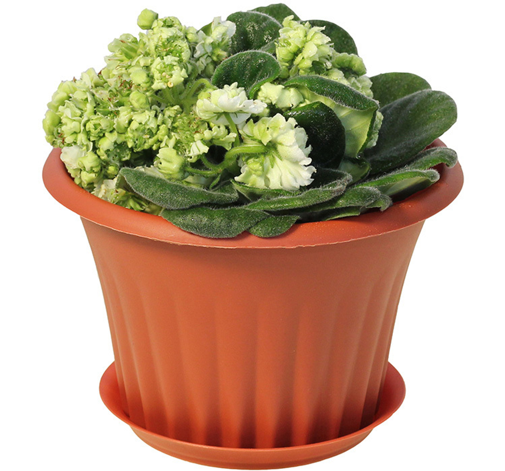 Кашпо КЭРОЛ 0,75 л D140мм с подставкой