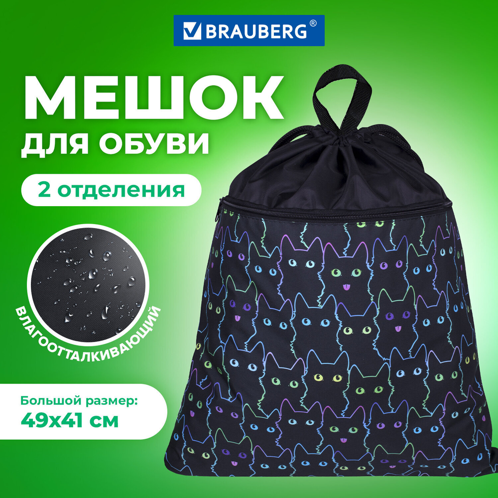 Мешок для обуви BRAUBERG БОЛЬШОЙ, с ручкой, карман на молнии, сетка, 49х41 см, "Cats", 271059