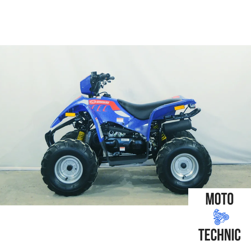 КВАДРОЦИКЛ LINHAI-YAMAHA Polar Fox