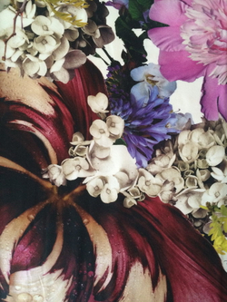 Постельное белье семейное Roberto Cavalli Floris 001