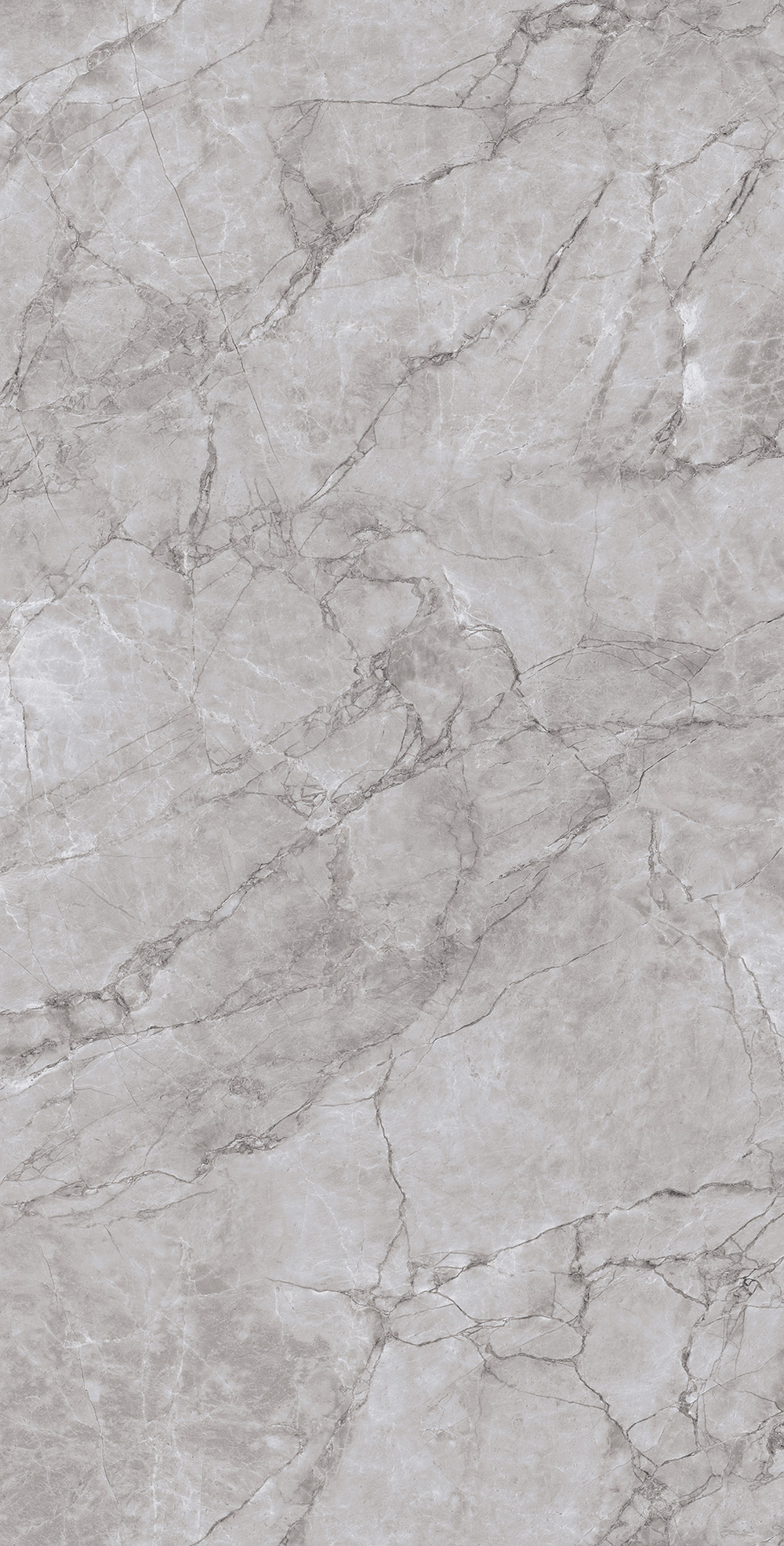 Керамогранит, Arcadia Ceramica, ARCTIC GREY LAPPATO, 1200x600 мм, лаппатированная