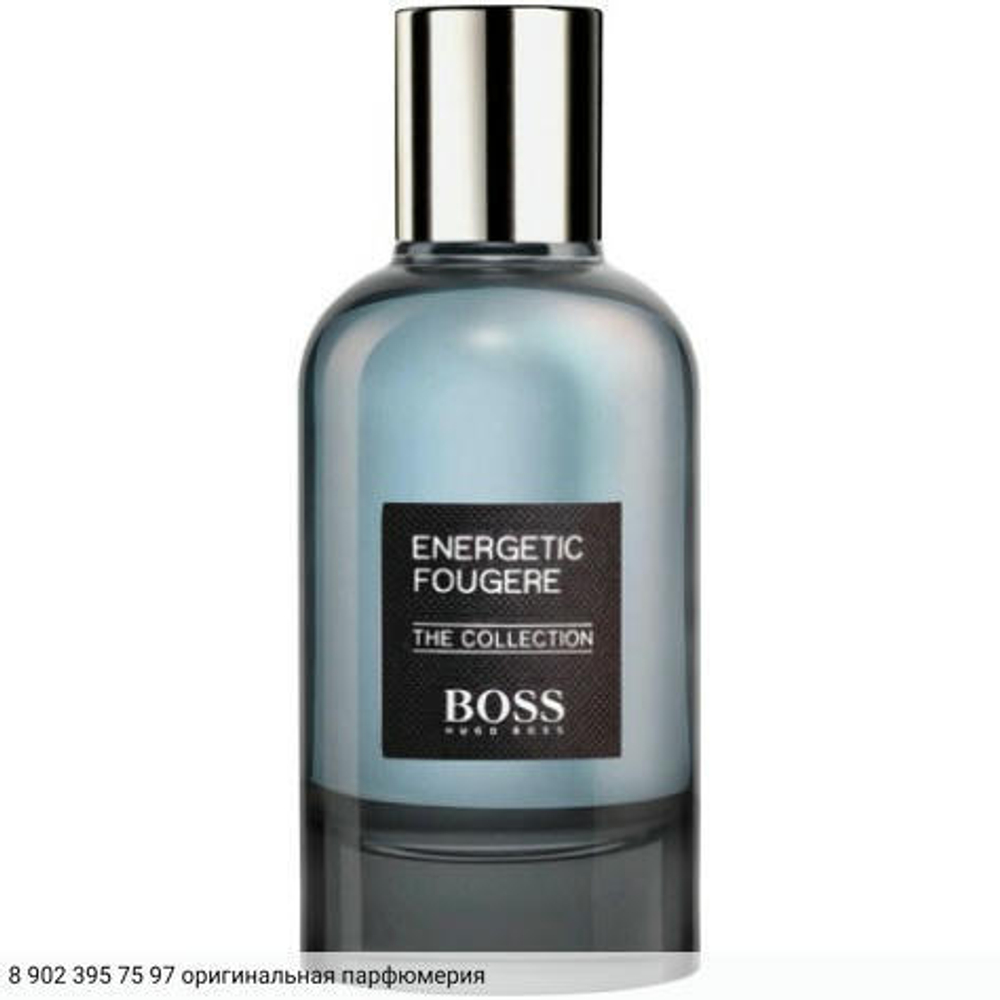The Collection Energetic Fougere