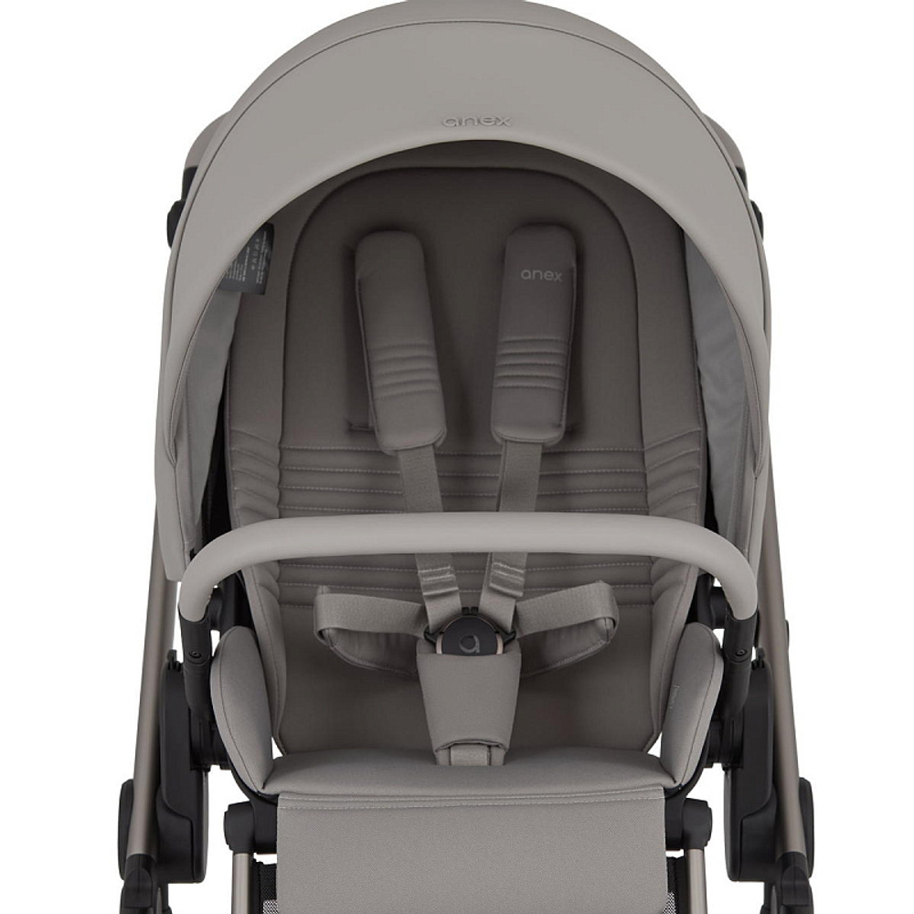 Детская коляска Anex Eli 2 в 1 без рюкзака Santal El-06