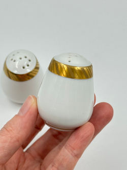 Набор из солонки и перечницы Rosenthal