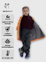 Брюки софтшелл Drive GRAY