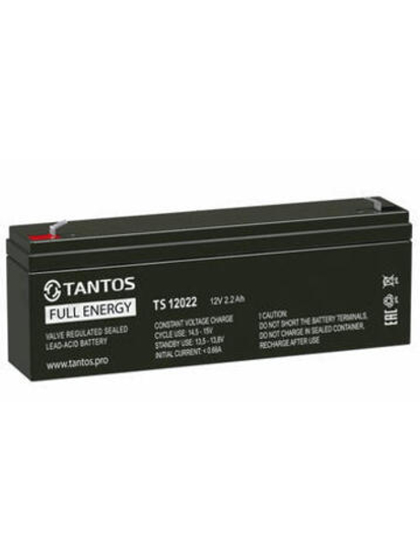Аккумулятор 12В 2.2 А∙ч  TS 12022