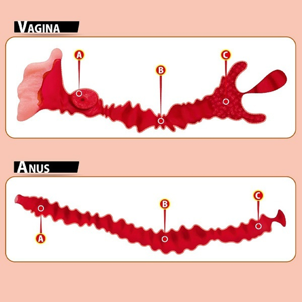Телесный вибромастурбатор-полуторс 34х24см с двумя любовными отверстиями Kokos Adel