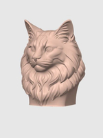 Норвежская лесная кошка