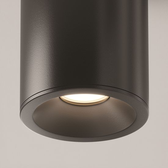 Потолочный светильник Technical C029CL-01B