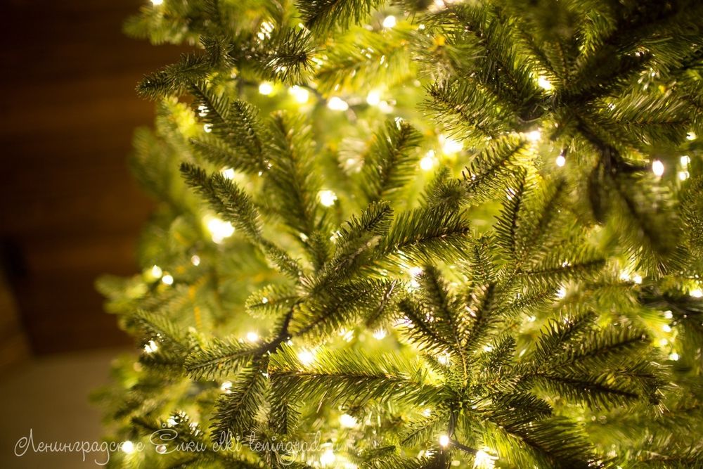 "БАРОККО ПРЕМИУМ" Световая 2