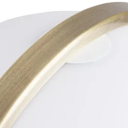 Декоративная настольная лампа Arte Lamp