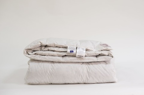 Одеяло всесезонное 160х220 German Grass Silver Down