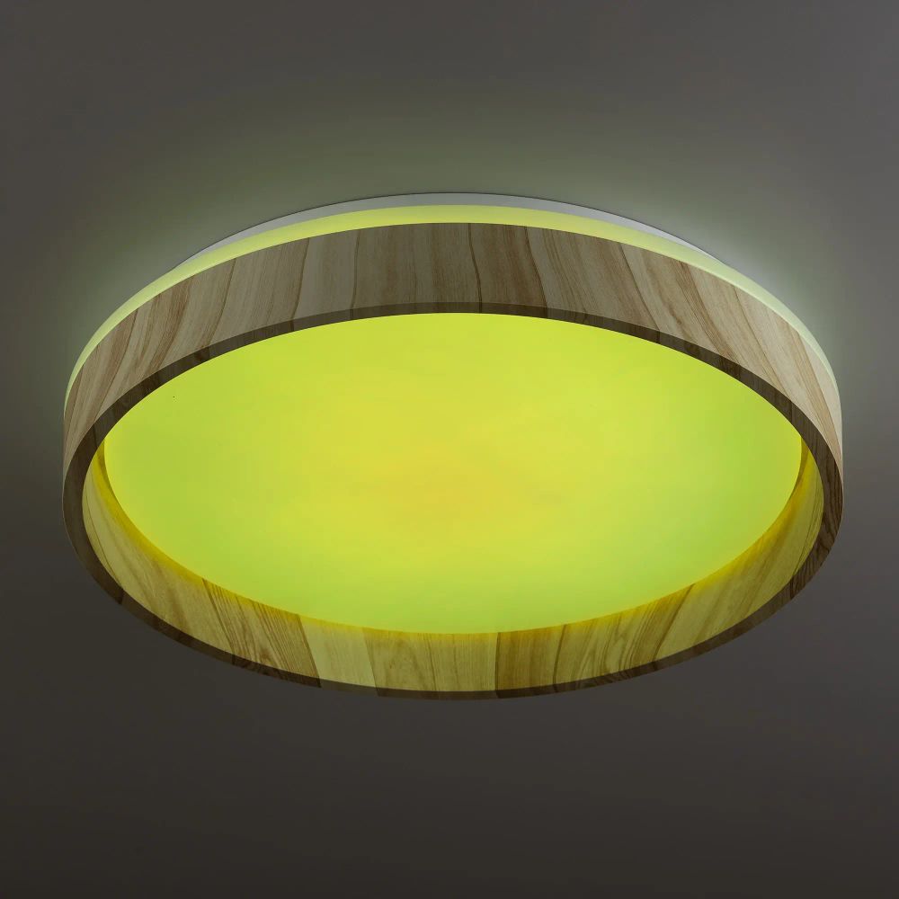 Citilux ENZO CL753352G LED RGB Светильник с пультом Клён