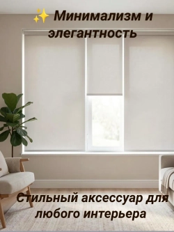 Рулонные шторы жалюзи 50х160 см