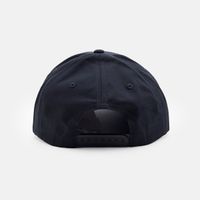  Кепка Dickies Torrey Snapback Cap артикул:DK0A88I9BLK1 - купить в магазине Дайс
