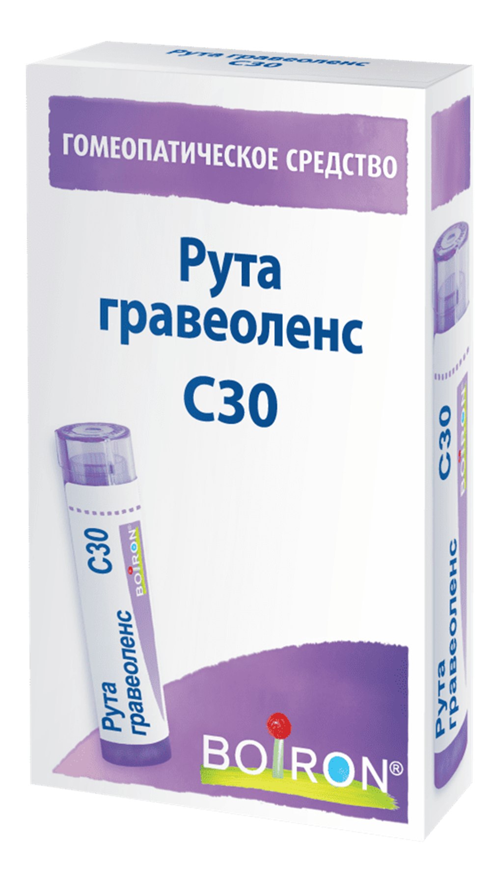Рута гравеоленс (Ruta graveolens) C30 Буарон
