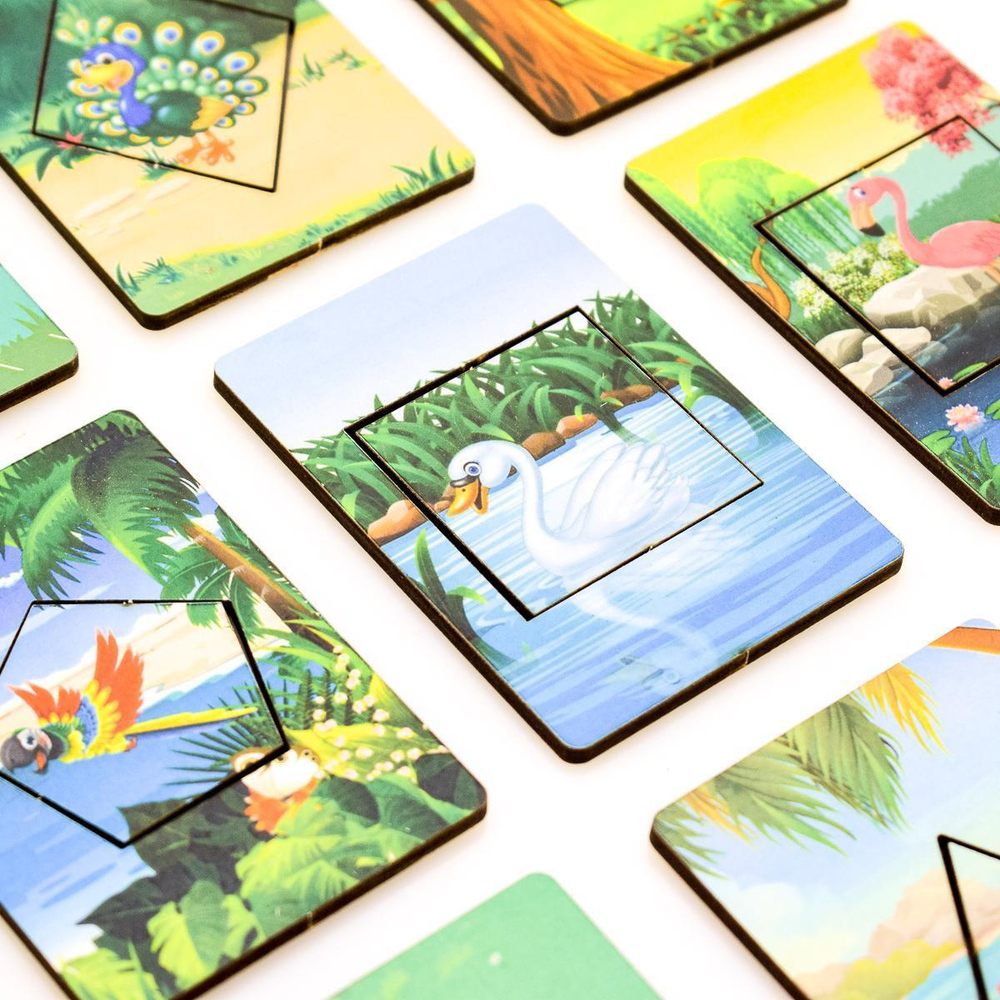 Досочки сегена птицы