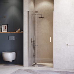 Душевая дверь RGW HO-014 (Прозрачное, 1100)