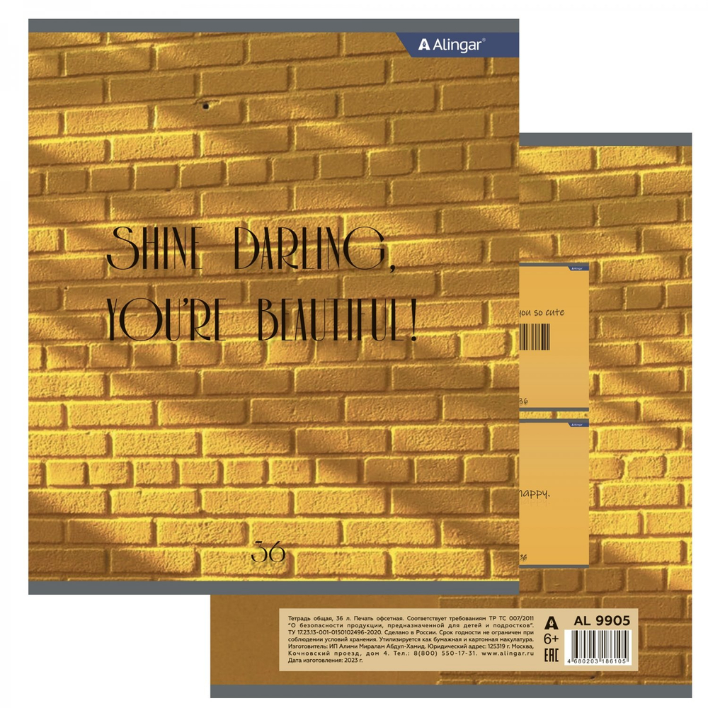 Тетрадь 36 л., А5, линия, Alingar "Positive book", скрепка, второй блок 60г/м2, мелованный картон (стандарт), 4 дизайна в пленке т/у