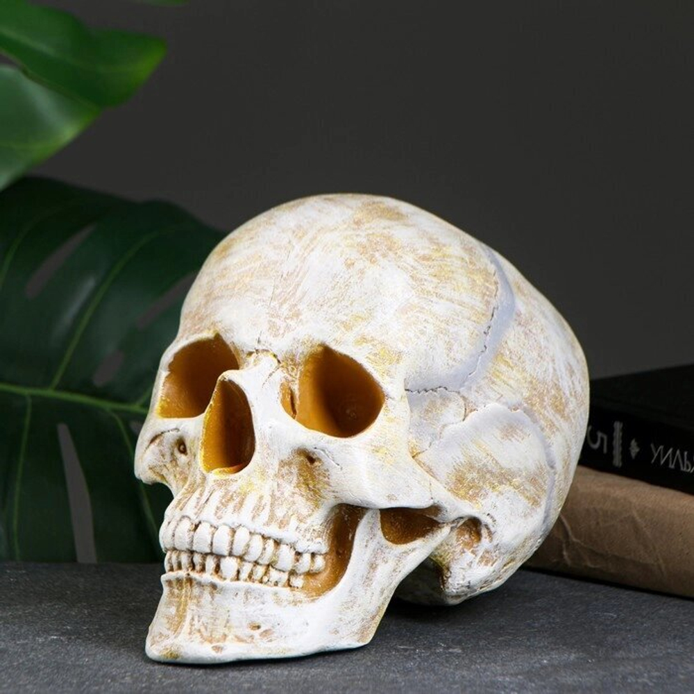 Копилка "Череп" кость, 16х13х22 см