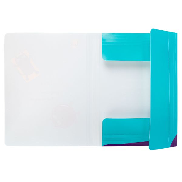Папка на резинке A4 LRF-06 450 мкм 35 мм, песок, 5 шт, 02-Коты, Лео LRF-06