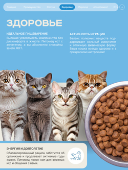 Корм сухой для стерилизованных кошек породы Британская короткошерстная, с лососем, 5 кг, QUATTRO