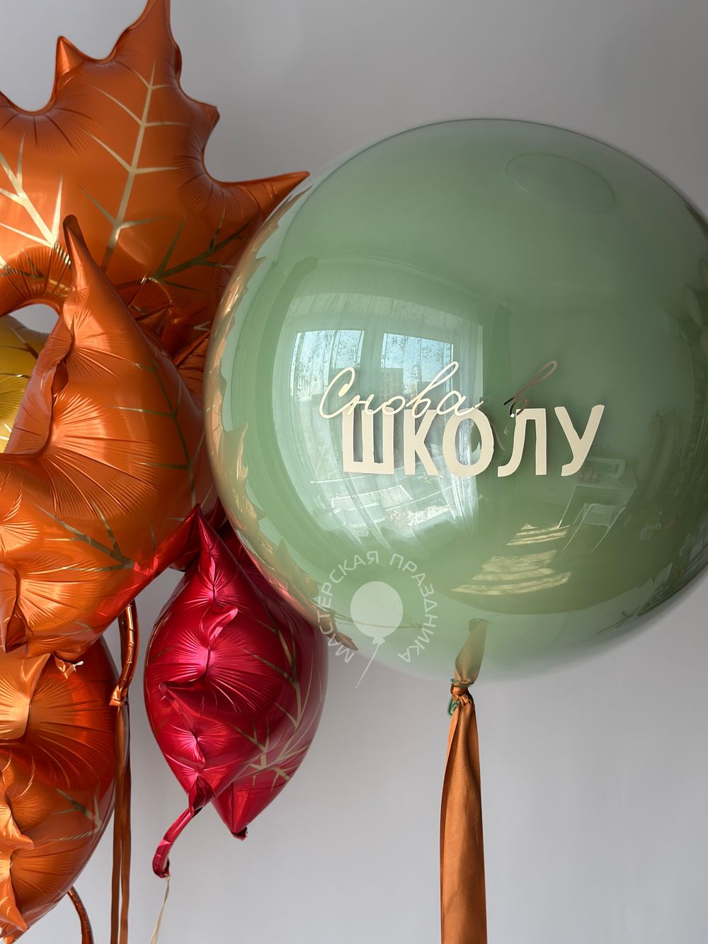 Воздушные шары Снова в школу №8746  Изображение3