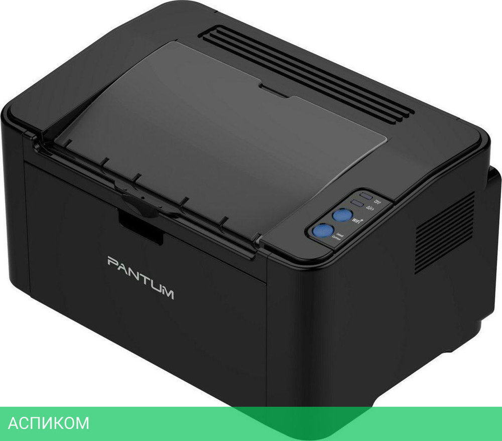 Принтер Pantum P2500