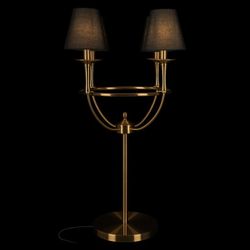 Настольная лампа декоративная Loft it Lattice 10435T