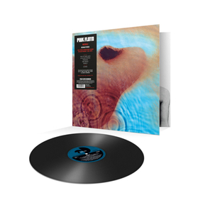 Pink Floyd / Meddle (LP)