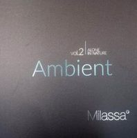 Ambient vol2