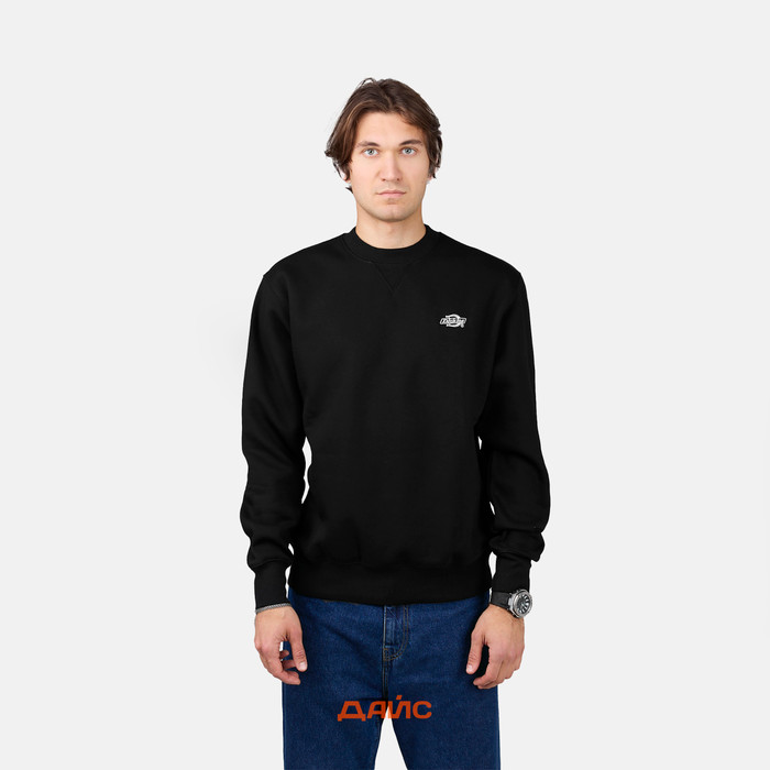 Толстовка мужская Dickies Summerdale Sweatshirt артикул:DK0A4Y6QBLK1 - купить в магазине Дайс