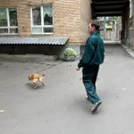 Купить Рубашка Смерч на молнии #5 изумрудная Рубашка Смерч на молнии #5 изумрудная