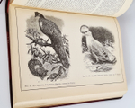 "Собрание сочинений.  В четырех томах."  Ч.Р.Дарвин. 1901 г.