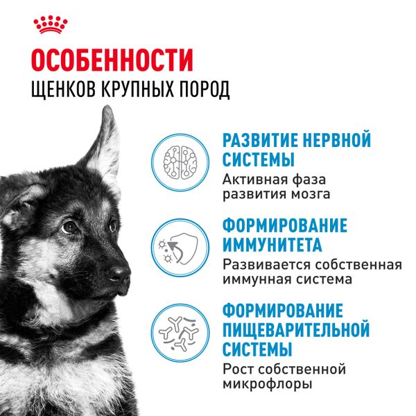 Сухой корм Royal Canin Maxi Puppy для щенков крупных размеров в возрасте до 15 месяцев