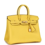 Сумка из коллекции D с золотой фурнитурой Hermès Birkin