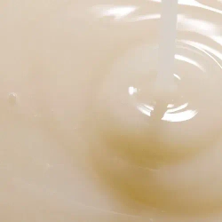 ROUND LAB Питательная сыворотка на основе соевых бобов Soybean Serum (50 мл)