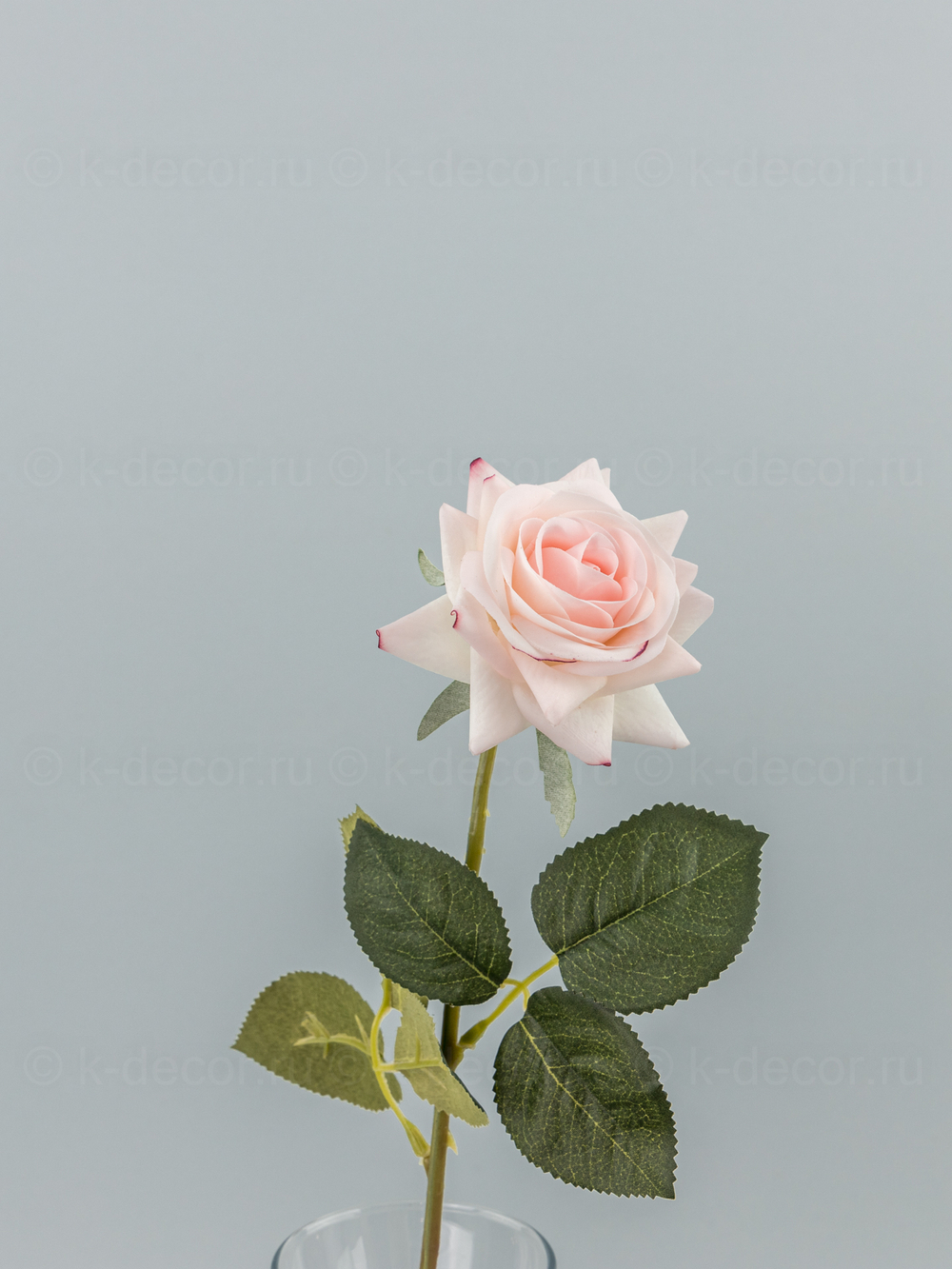 Роза Фелиция силикон