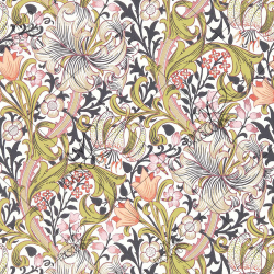 Коллекция MF0582