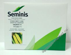 ТРОФИ F1 семена кукурузы (Seminis | Alexagro)