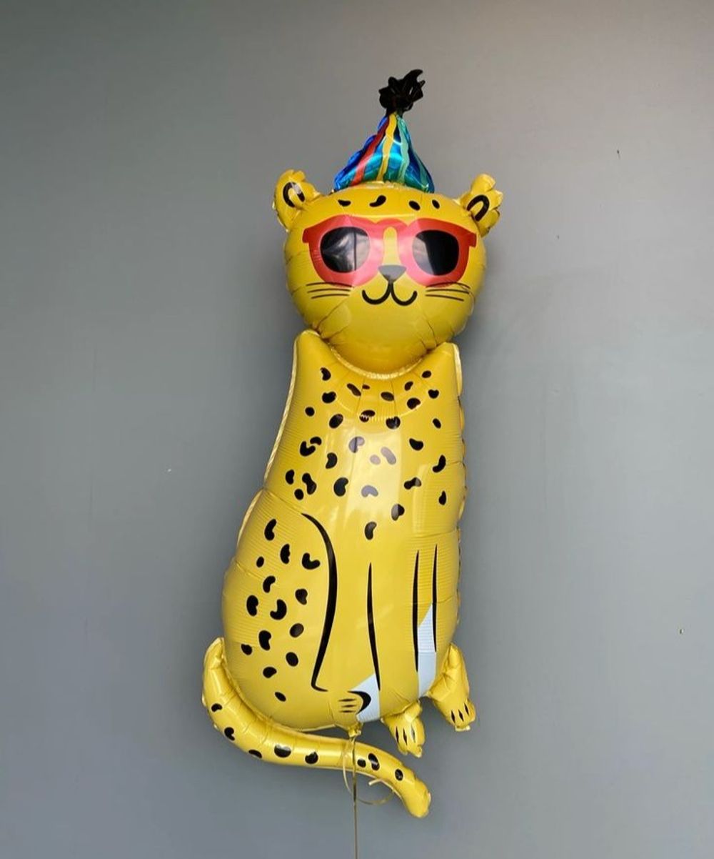 AN Шар фигура P35 Леопард в очках и колпаке (БГ-35) 