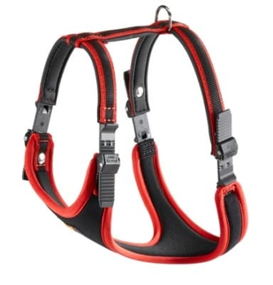 Шлейка ERGOCOMFORT P S, нейлон с мягким дополнением, красная