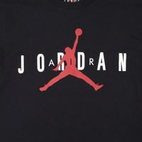  Футболка мужская Jordan Air Wordmark артикул:CK4212-013 - купить в магазине Дайс